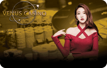 Vinus Casino